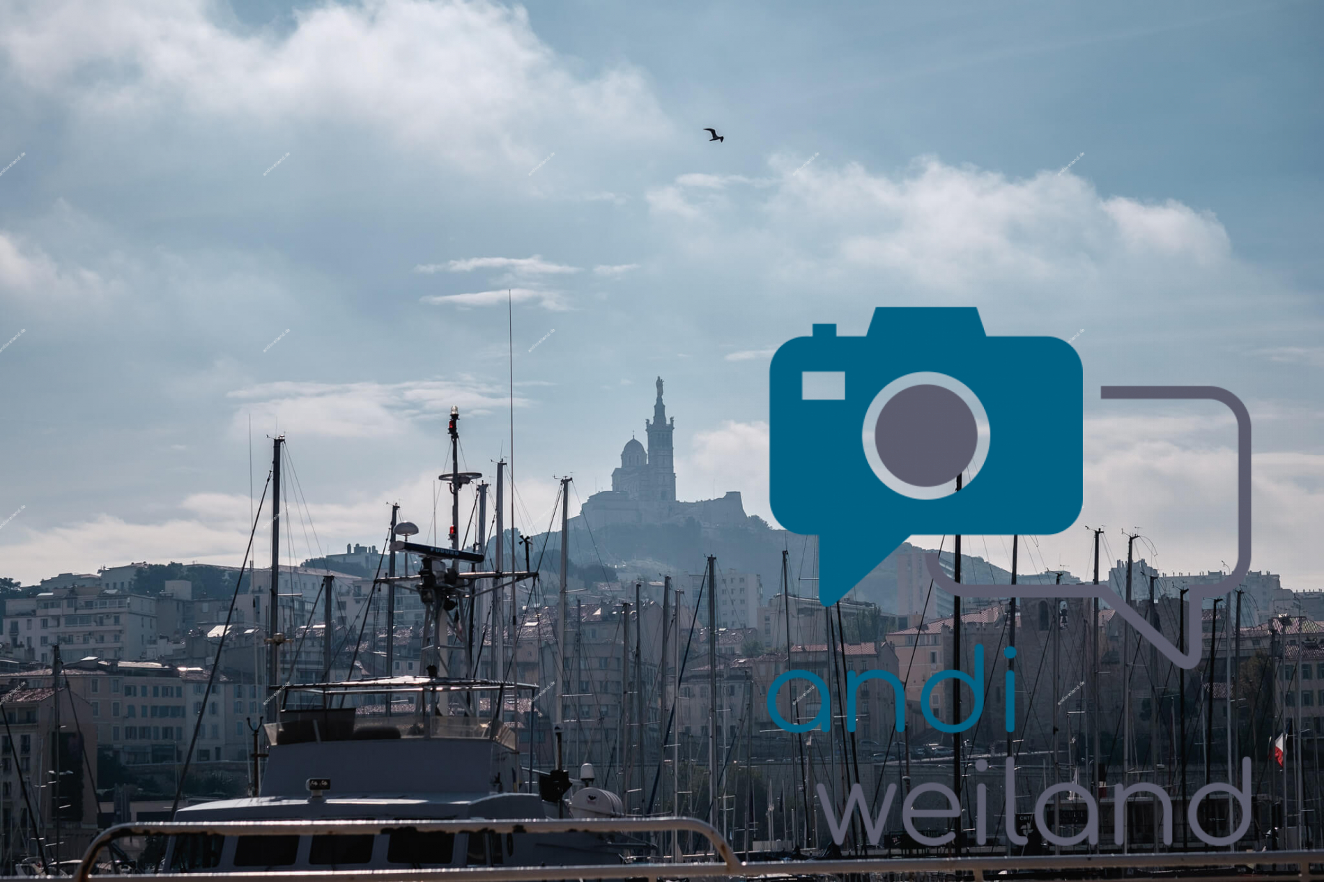 Portrait von einem vollbärtigen Mann mit kurzen Haaren, der in die Kamera lächelt. Er trägt ein Shirt mit einem Fahrrad.