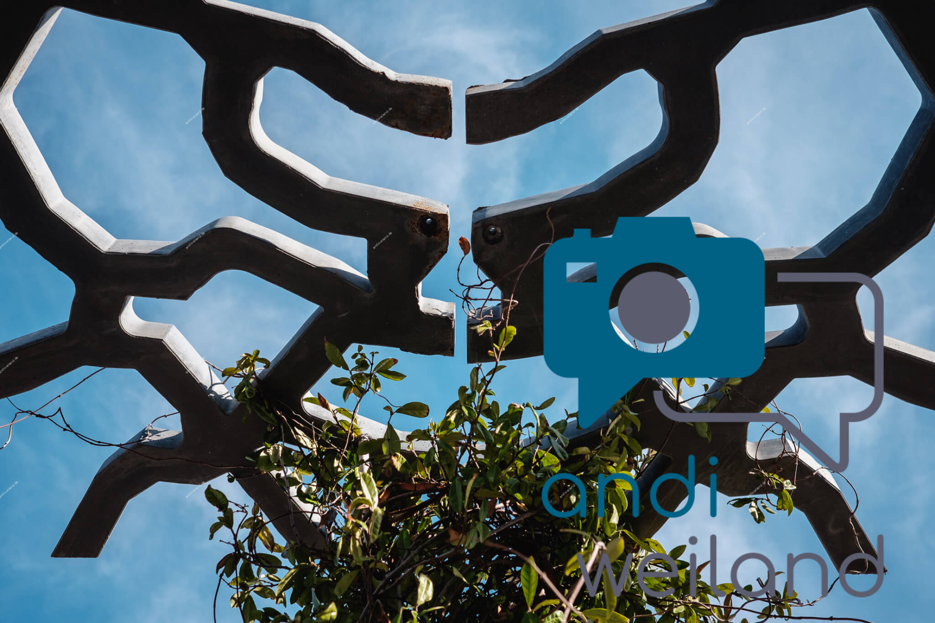 Portrait von einem vollbärtigen Mann mit kurzen Haaren, der in die Kamera lächelt. Er trägt ein Shirt mit einem Fahrrad.