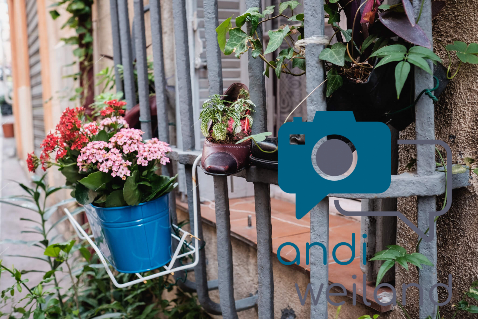 Portrait von einem vollbärtigen Mann mit kurzen Haaren, der in die Kamera lächelt. Er trägt ein Shirt mit einem Fahrrad.