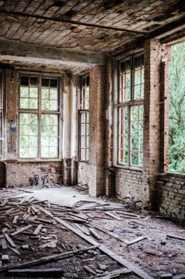 Portrait von einem vollbärtigen Mann mit kurzen Haaren, der in die Kamera lächelt. Er trägt ein Shirt mit einem Fahrrad.