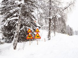 Portrait von einem vollbärtigen Mann mit kurzen Haaren, der in die Kamera lächelt. Er trägt ein Shirt mit einem Fahrrad.