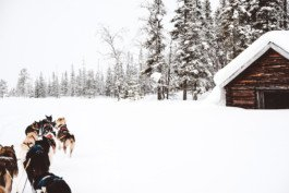 Portrait von einem vollbärtigen Mann mit kurzen Haaren, der in die Kamera lächelt. Er trägt ein Shirt mit einem Fahrrad.
