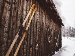 Portrait von einem vollbärtigen Mann mit kurzen Haaren, der in die Kamera lächelt. Er trägt ein Shirt mit einem Fahrrad.