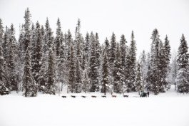 Portrait von einem vollbärtigen Mann mit kurzen Haaren, der in die Kamera lächelt. Er trägt ein Shirt mit einem Fahrrad.