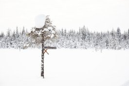 Portrait von einem vollbärtigen Mann mit kurzen Haaren, der in die Kamera lächelt. Er trägt ein Shirt mit einem Fahrrad.