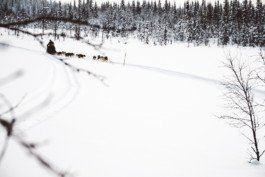 Portrait von einem vollbärtigen Mann mit kurzen Haaren, der in die Kamera lächelt. Er trägt ein Shirt mit einem Fahrrad.