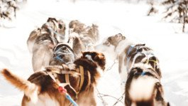 Portrait von einem vollbärtigen Mann mit kurzen Haaren, der in die Kamera lächelt. Er trägt ein Shirt mit einem Fahrrad.