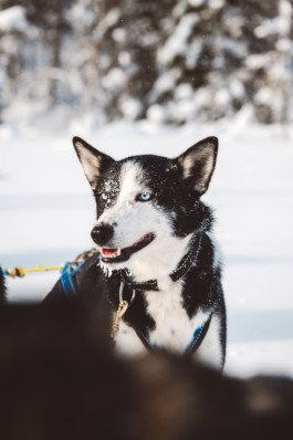 Portrait von einem vollbärtigen Mann mit kurzen Haaren, der in die Kamera lächelt. Er trägt ein Shirt mit einem Fahrrad.