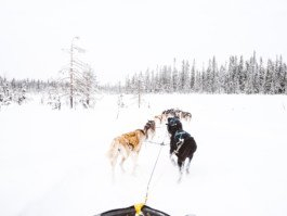 Portrait von einem vollbärtigen Mann mit kurzen Haaren, der in die Kamera lächelt. Er trägt ein Shirt mit einem Fahrrad.