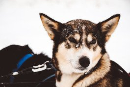 Portrait von einem vollbärtigen Mann mit kurzen Haaren, der in die Kamera lächelt. Er trägt ein Shirt mit einem Fahrrad.