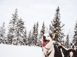 Portrait von einem vollbärtigen Mann mit kurzen Haaren, der in die Kamera lächelt. Er trägt ein Shirt mit einem Fahrrad.
