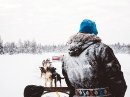 Portrait von einem vollbärtigen Mann mit kurzen Haaren, der in die Kamera lächelt. Er trägt ein Shirt mit einem Fahrrad.