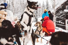 Portrait von einem vollbärtigen Mann mit kurzen Haaren, der in die Kamera lächelt. Er trägt ein Shirt mit einem Fahrrad.